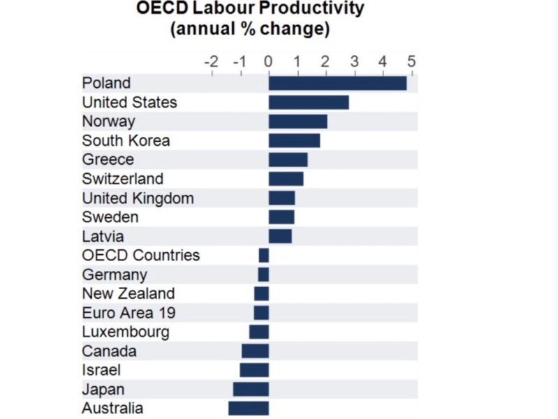 AMP shows sharp decline in labor productivity