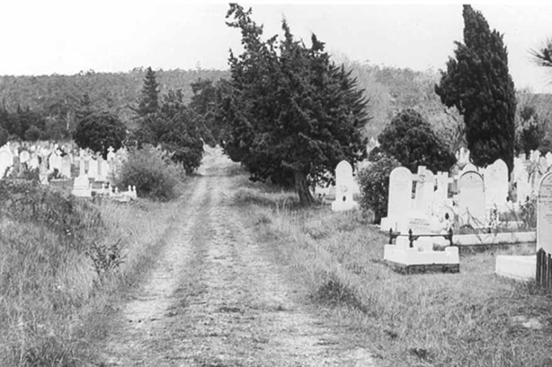 Archaeologists complete largest mass exhumation in Australian history from old cemetery under The Hutchins School