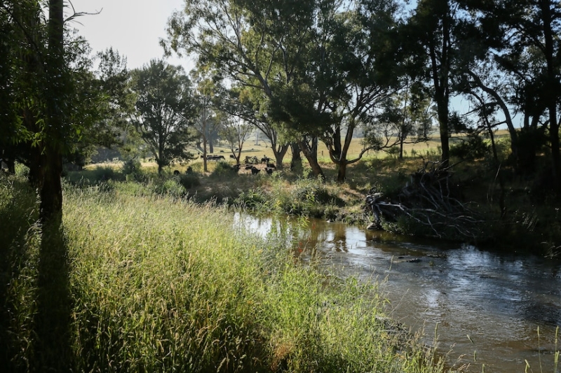 'Forever chemicals' found in Sydney sewage by-products used in food production