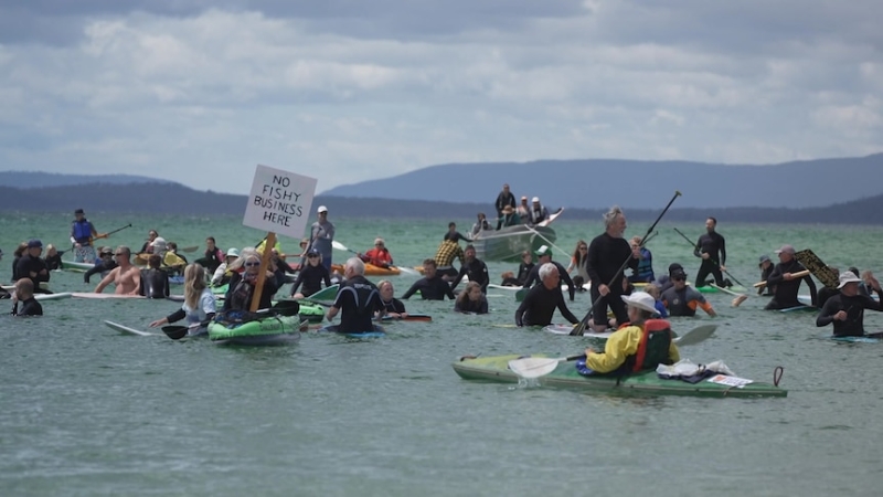 From farmed salmon to wind farms, Tasmania shows political balance between environment and industry