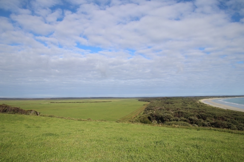 From farmed salmon to wind farms, Tasmania shows political balance between environment and industry