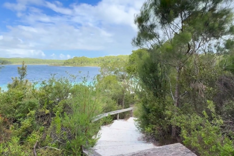 Cars sampled for mud carrying invasive pests to K'gari (Fraser Island)