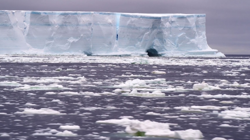 Antarctic sea ice falls to near-record low as study reveals 'structural change'