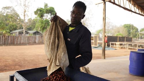 As warming climate hammers coffee crops, this rare bean may someday be your brew