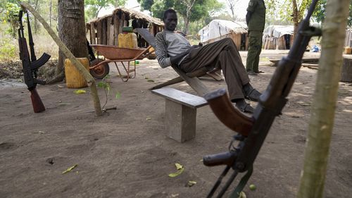 As warming climate hammers coffee crops, this rare bean may someday be your brew