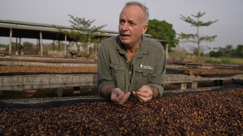 As warming climate hammers coffee crops, this rare bean may someday be your brew