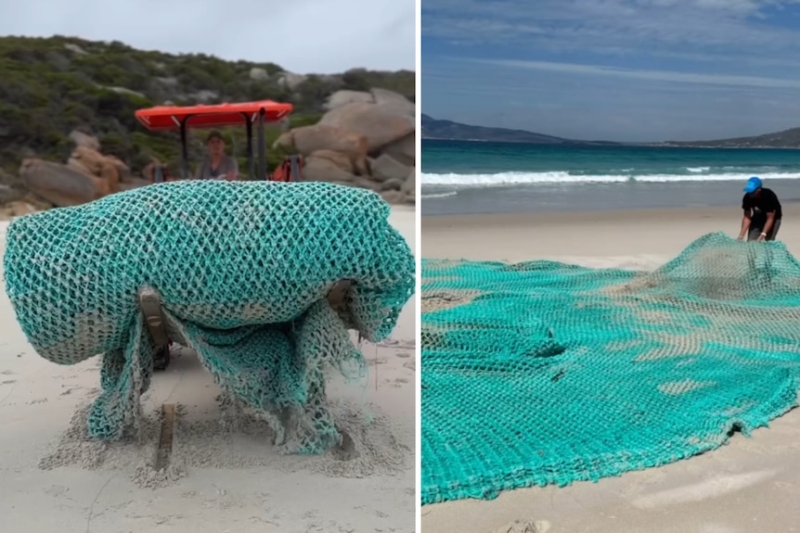 Ghost net found on Western Australia's south coast as campaigners demand more action