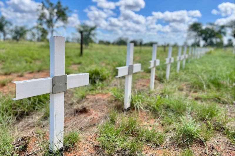 Australia's first independent forensics lab targeting cold cases and mystery human remains