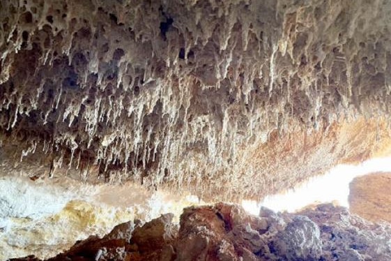 Push to have Munro Karst system near Naracoorte Caves added to SA heritage register